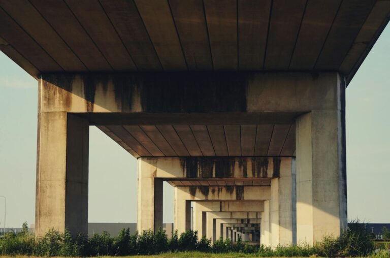 Concrete overpass showing symmetry and urban architecture in daylight.